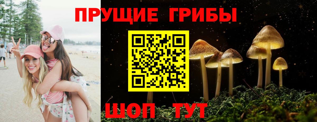 Псилоцибиновые грибы MAGIC MUSHROOMS  Псилоцибиновые грибы MAGIC MUSHROOMS  Майский  Вход с VPN 